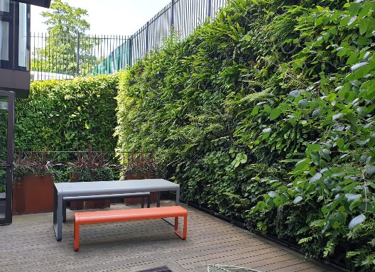 green wall in outdoor seating area