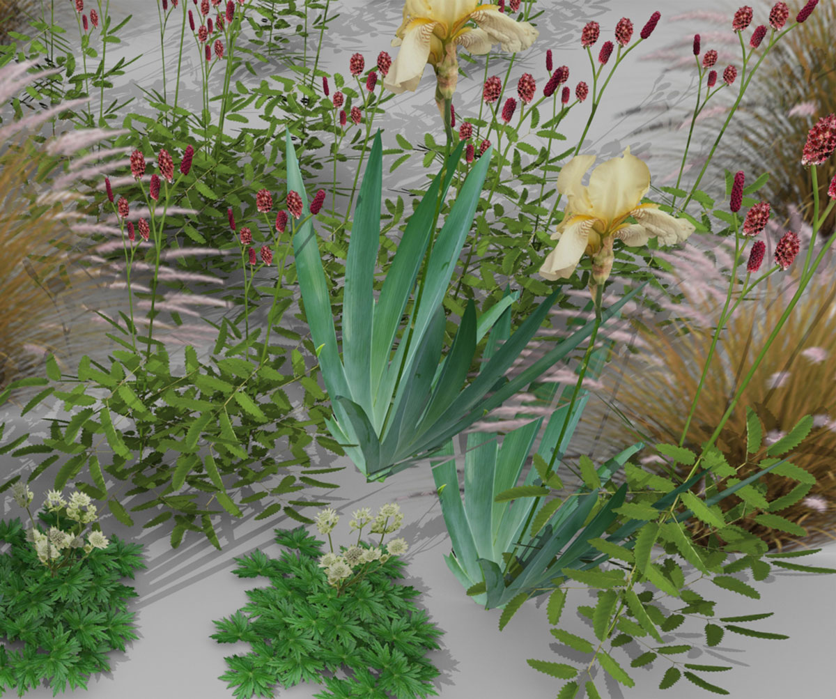computer generated images of plants for use in CAD garden designs