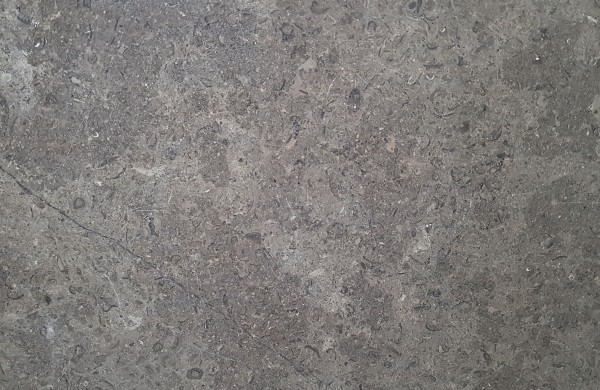 Sinai Pearl Grey Honed/Tumbled Limestone paving swatch