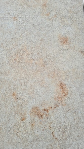 Pietra Jura Beige Sample