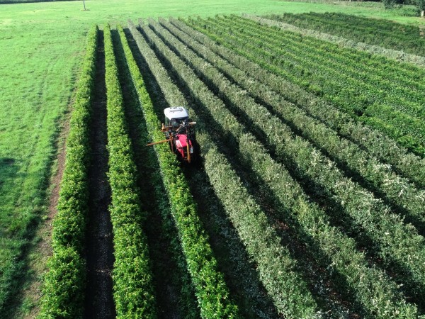 Clipping of Instant Hedging using farm tractor