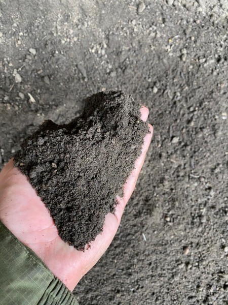 handful of ericaceous compost