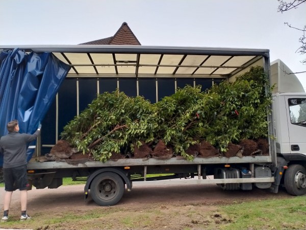 Instant Hedging loaded for delivery 