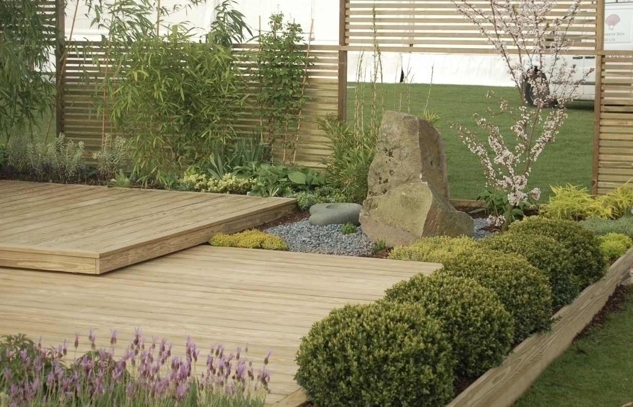 Southern Yellow Pine in landscaped garden