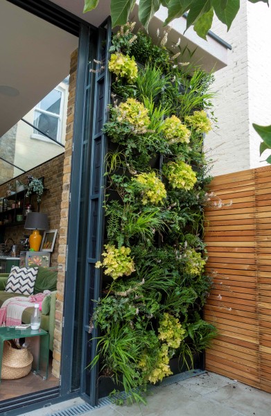 Living Wall containing plants in landscaped garden 