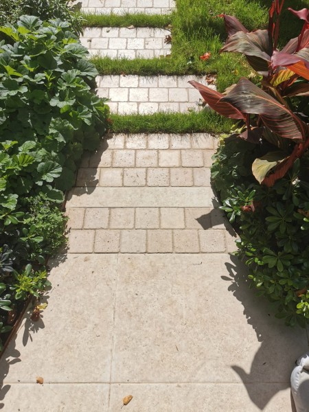 Sinai Pearl Beige presealed limestone setts dry