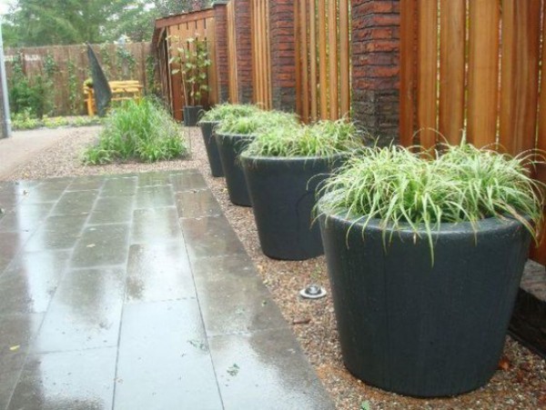 Hebe Planters filled with grasses in landscaped garden 