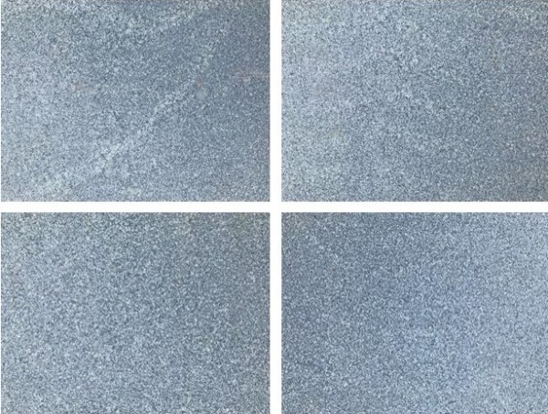 Blue grey granite paving swatch also described as mid grey granite paving