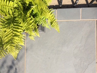 brazilian grey slate paver contrasting with zesty green leaved plant