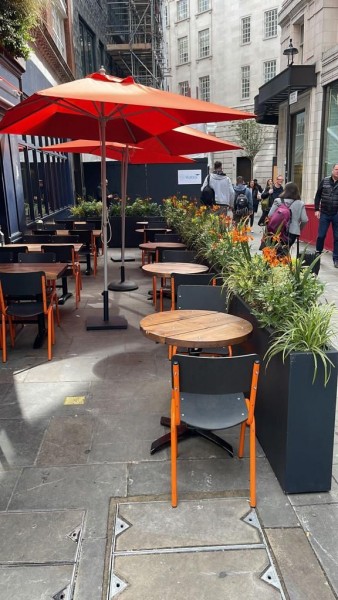 Outdoor eating space flowers in planters