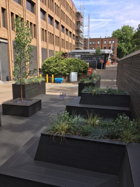 Decking and raised beds in public open space