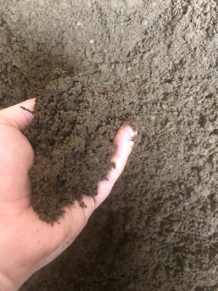 handful of BS3883 topsoil