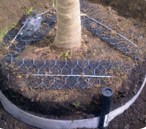 platipus piddler tree irrigation system in place