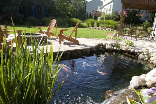 kidney shaped garden pool with buff coloured edging stones