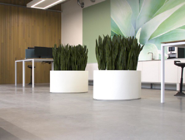 Ellipse Planters used for indoor planting display 