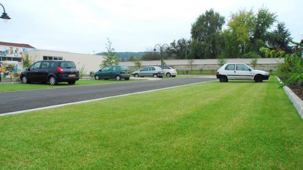 grass car park strengthened with ground reinforcement grids