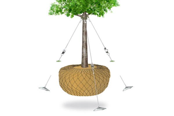 diagram showing platipus guy fixing system kit applied to a mature tree