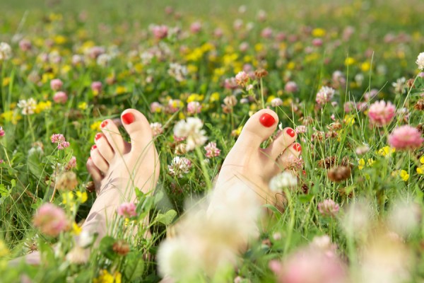 pair of bare feet with painted red toenails is nestled amongst the low growing wildflowers of a species rich lawn