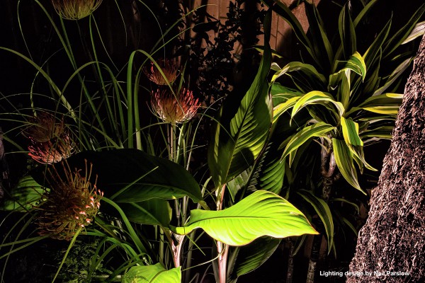 Spike Lighting illuminating plants in landscaped garden 
