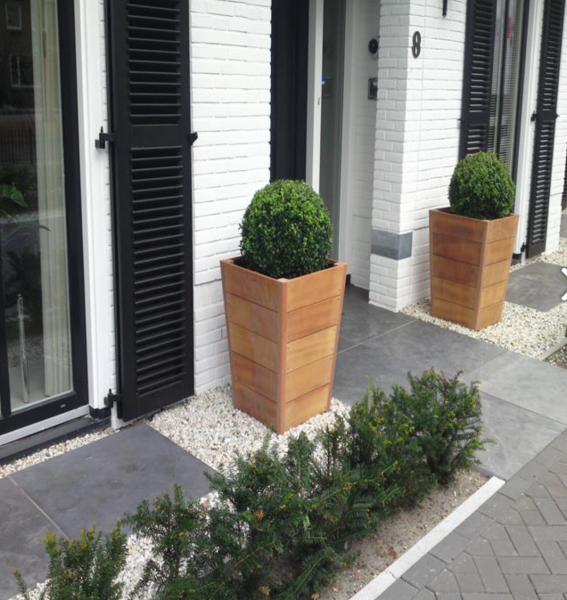 Hardwood tapered planters with conifers either side of the entrance to a modern building