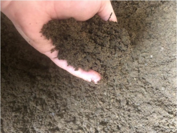 BS3882 Topsoil (Loose Tipped)