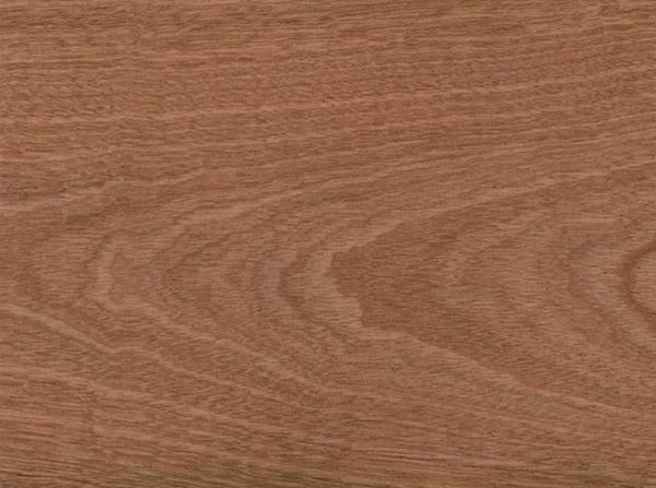 Sapele wood close up image