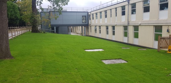 large turfed area beside commercial building