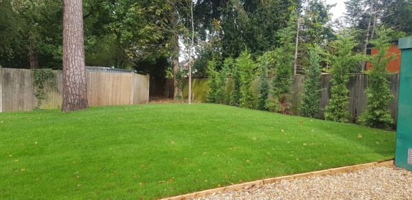 domestic lawn made from natural lawn turf