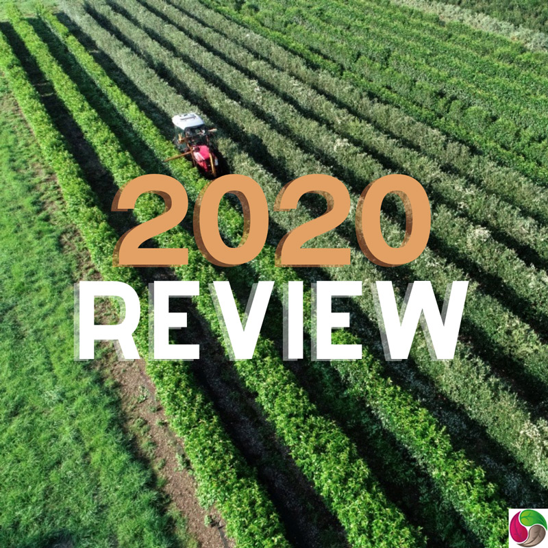 2020 landscaping review of the year