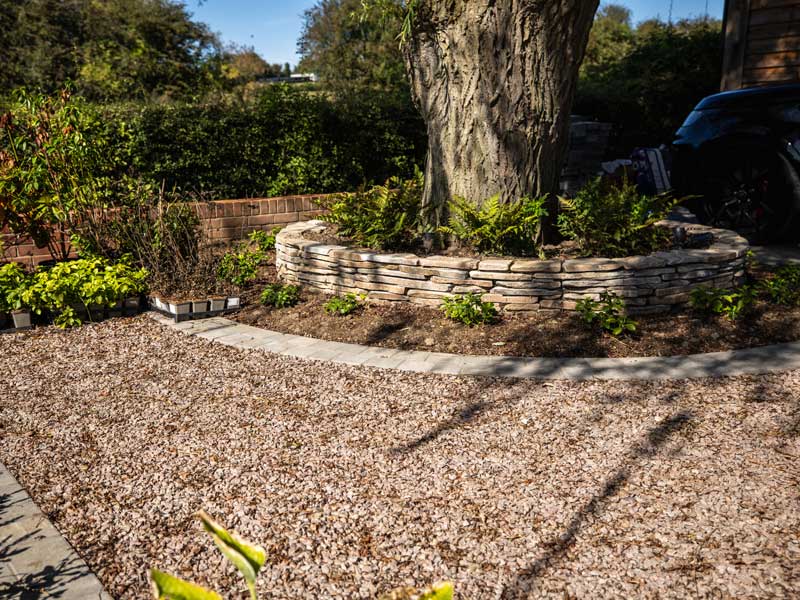 paddlestone wall around a tree planted with shade loving ferns