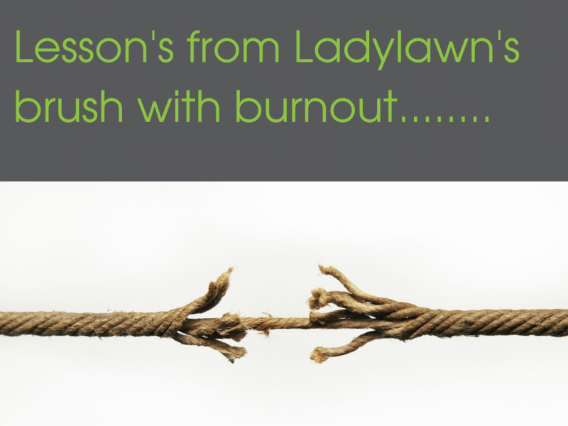 Ladylawn brush with burnout 