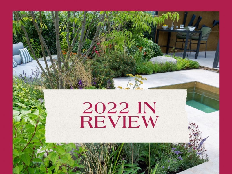 2022 in review image of beautifully landscaped splash pool surrounded by plants