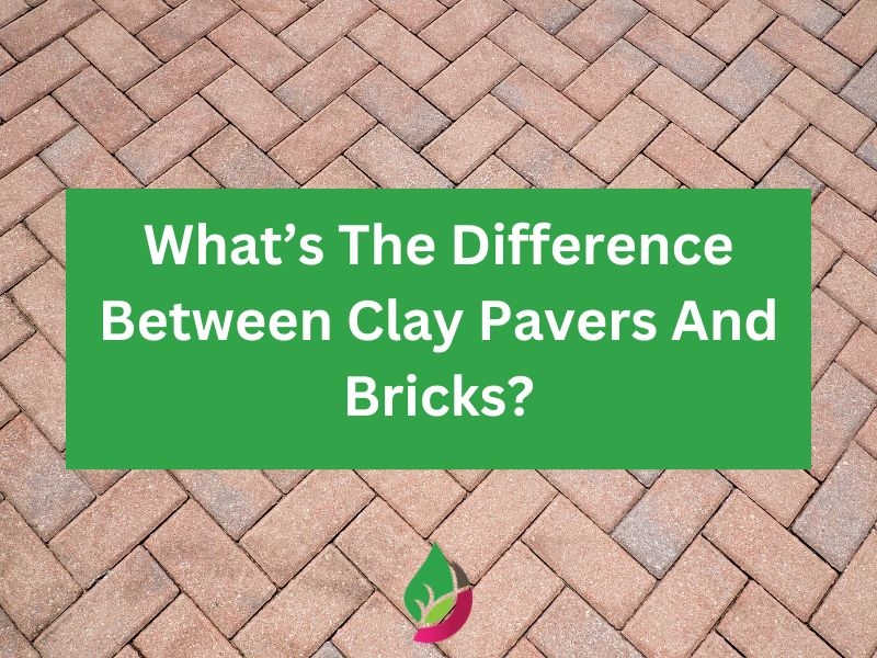 What's the Difference Between Clay Pavers and Bricks