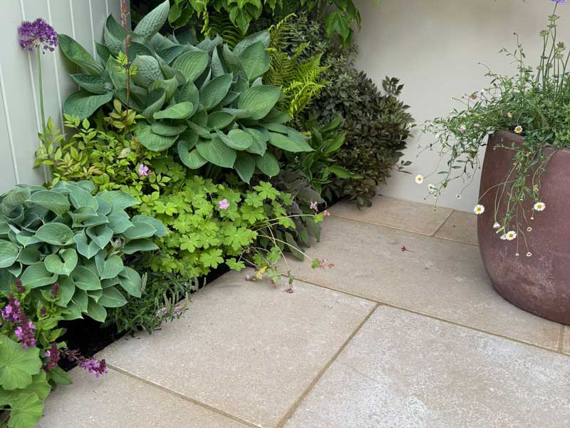 sinai pearl beighe limestone paving with beautiful plants at RHS Chelsea 2025