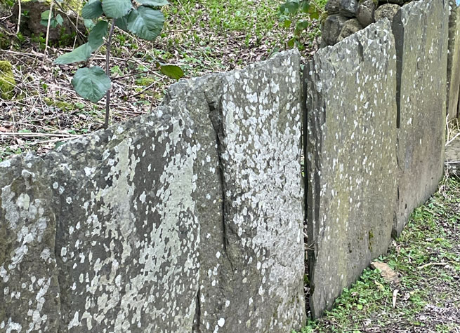 cumbrian slate dry stone wall comprising upright slabs of slate used as a retaining wall