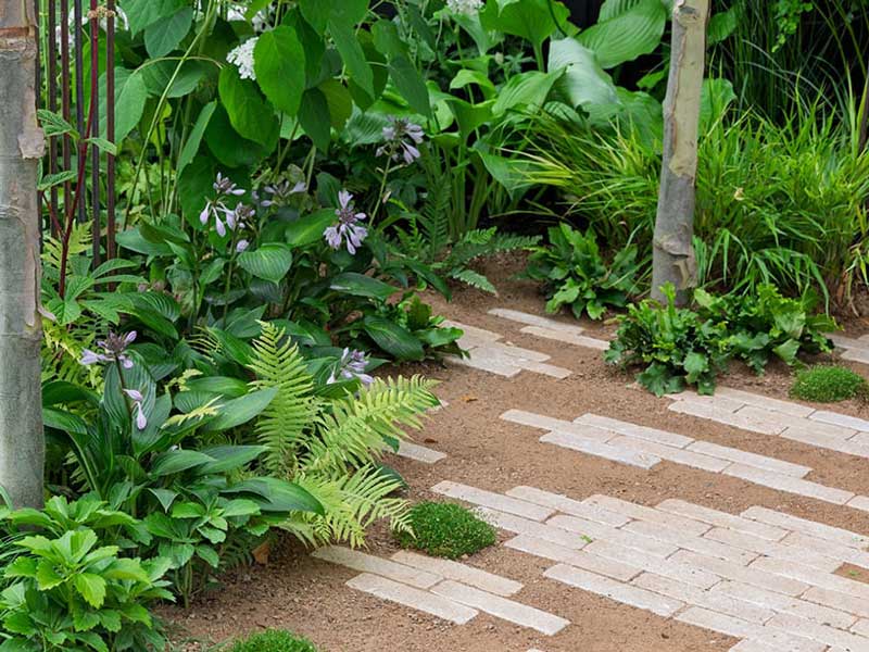 lush ground cover planting surrounds a woodland patio created using limestone slim setts and self binding gravel