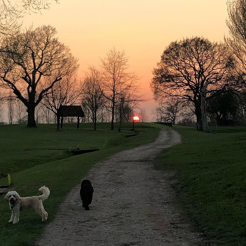 sunrise over golf course in borehamwood