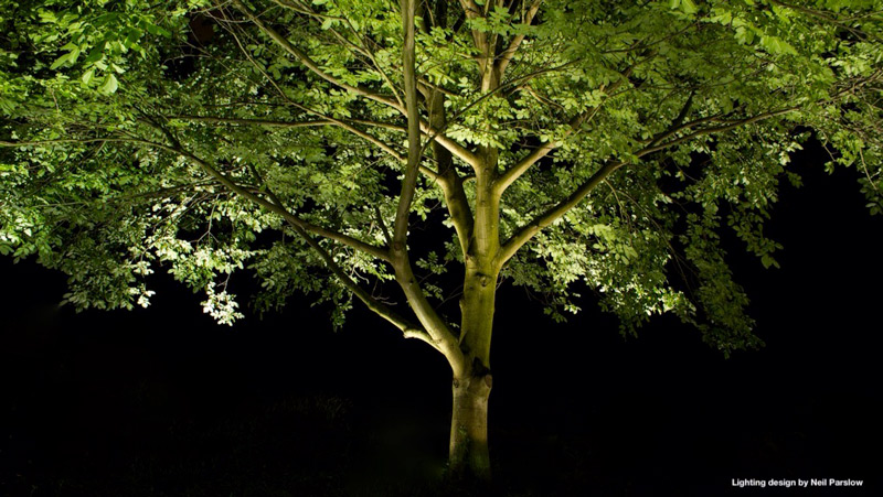 garden lighting effects with mature tree