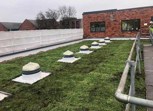 living green roof installed by Pritchard and Pritchard