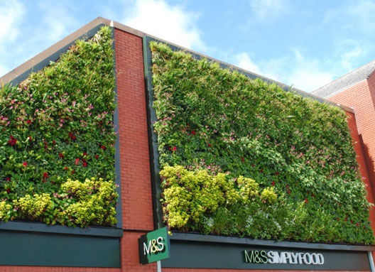 green wall at Marks and Spencers Owestry Store