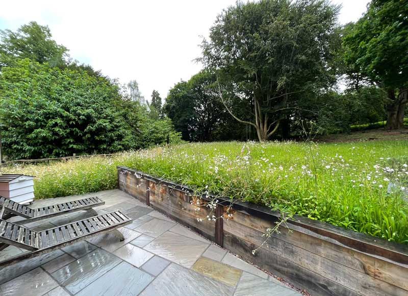 Wildflower lawn leading from formal patio towards woodland glade