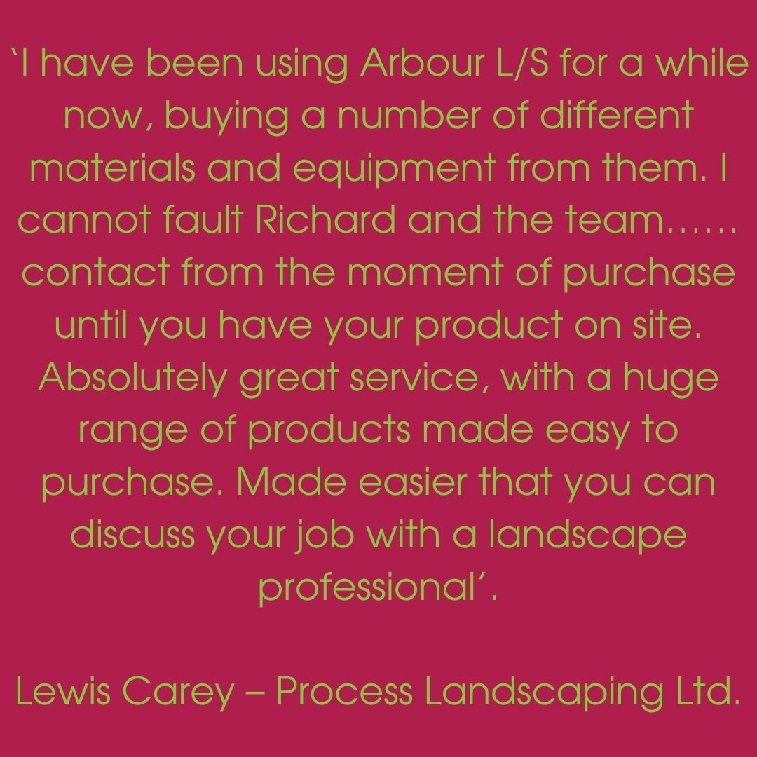 testimonial from Lewis Carey