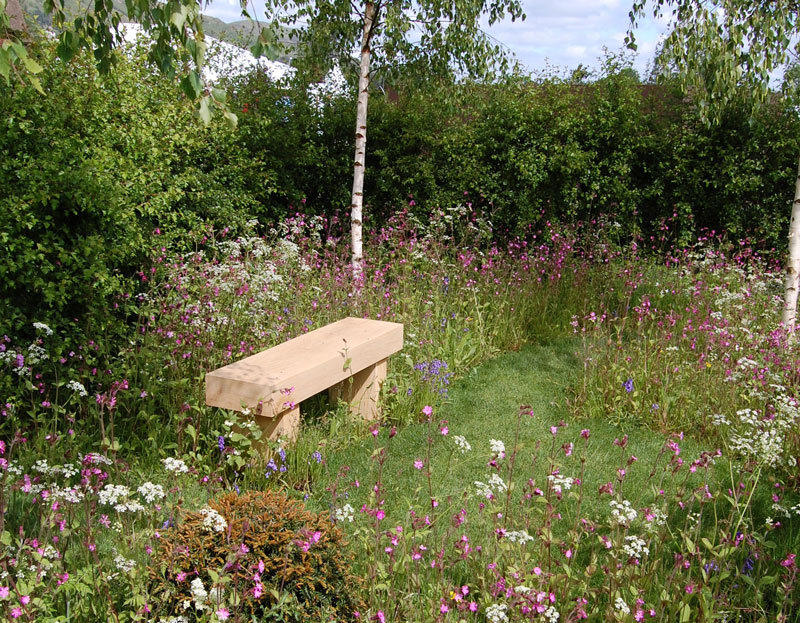 simple wooden bench surrounded by wildflowers in a show garden setting