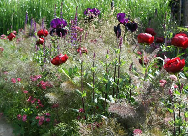 Beautiful planting in Laurent Perrier Garden RHS Chelsea 2011