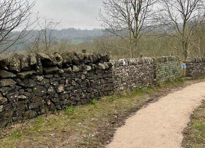 section of the millenium dry stone wall at the national stone centre in Derbyshire