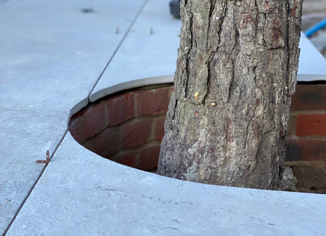 paving stones cut around tree