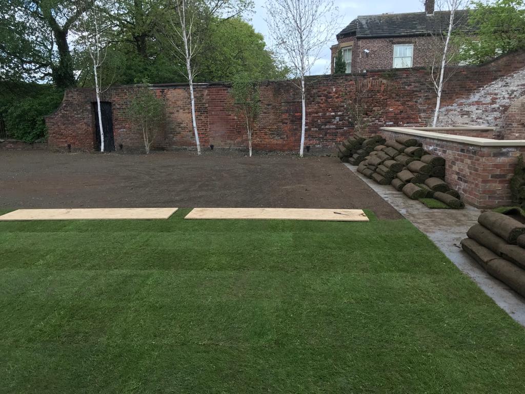 laying turf in a garden