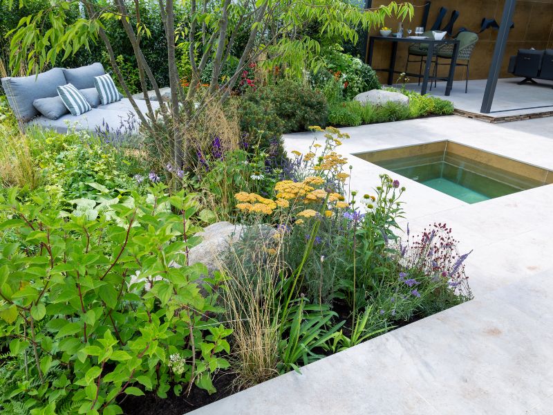 gorgeous show garden with plunge pool designed by Consillium Hortus