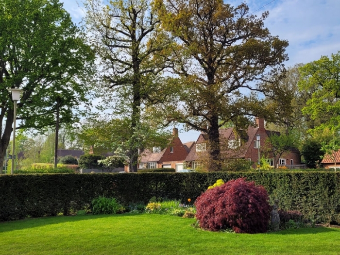 Instant Hedging Solution, Welwyn Garden City