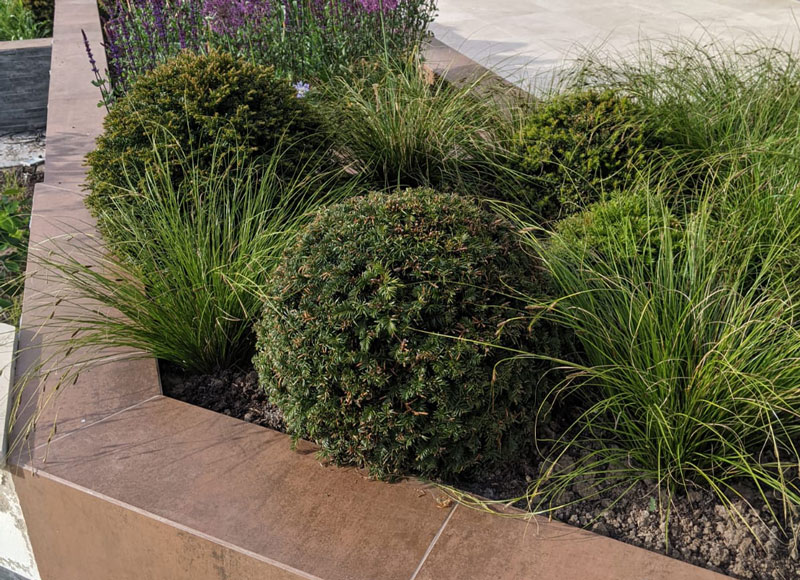 porcelain cladding adorns a mixture of evergreen and herbaceous plants nestled into a large raised bed designed by Emma Scarbourough 